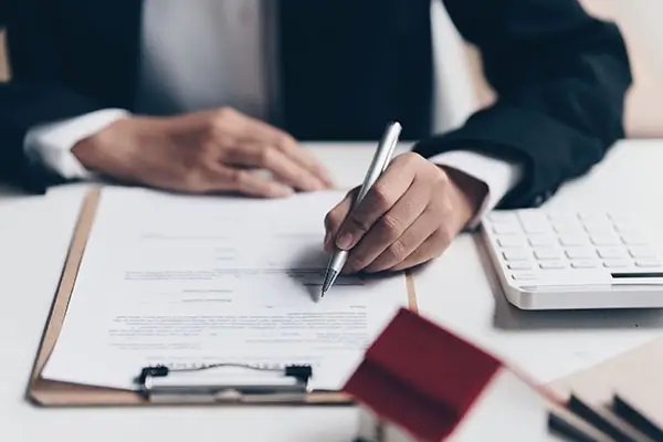 北京朝阳美食做法视频