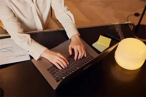 汉阳美食米饭做法