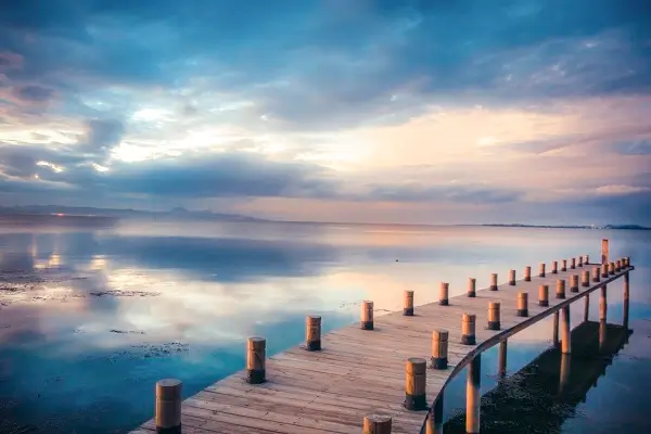 阿飞美食花甲的做法