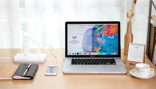 红烧白虾美食做法